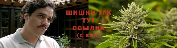 шишки Волоколамск