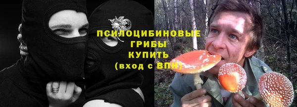 шишки Волоколамск